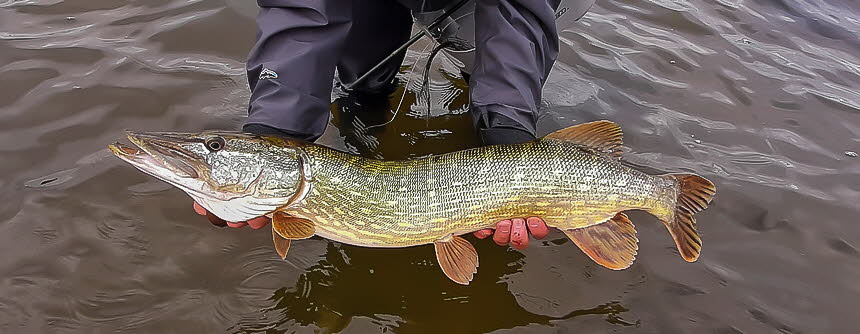 Fischen auf R�gen 2020-5